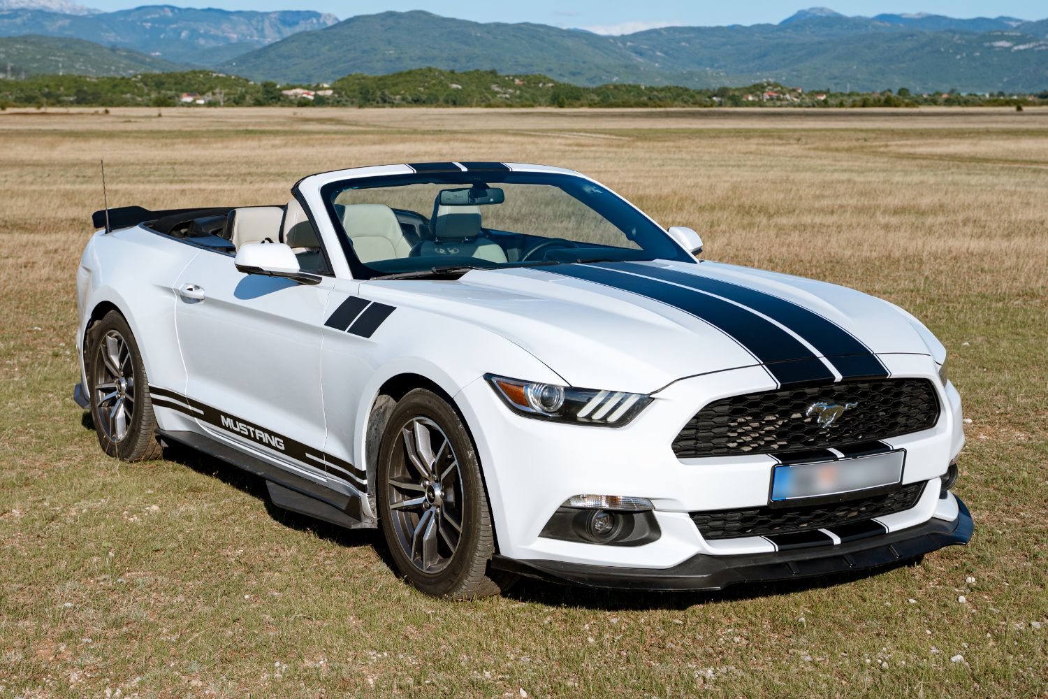 Mustang Cabrio u polju ispod planina