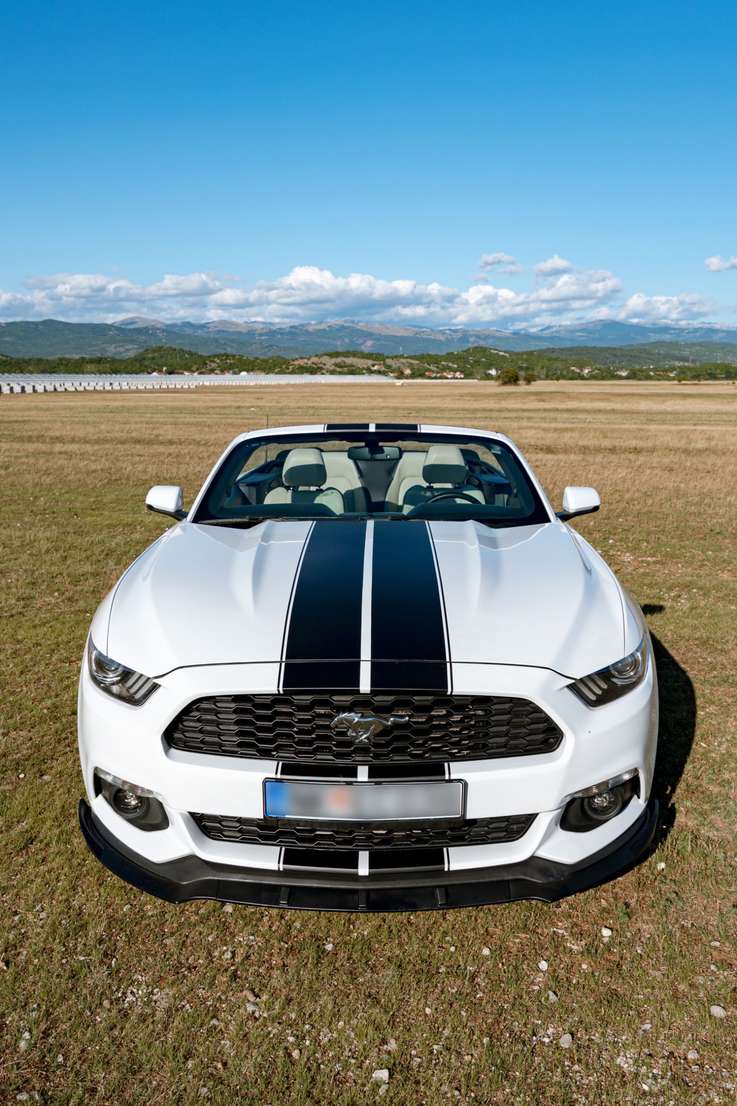 Mustang detalj