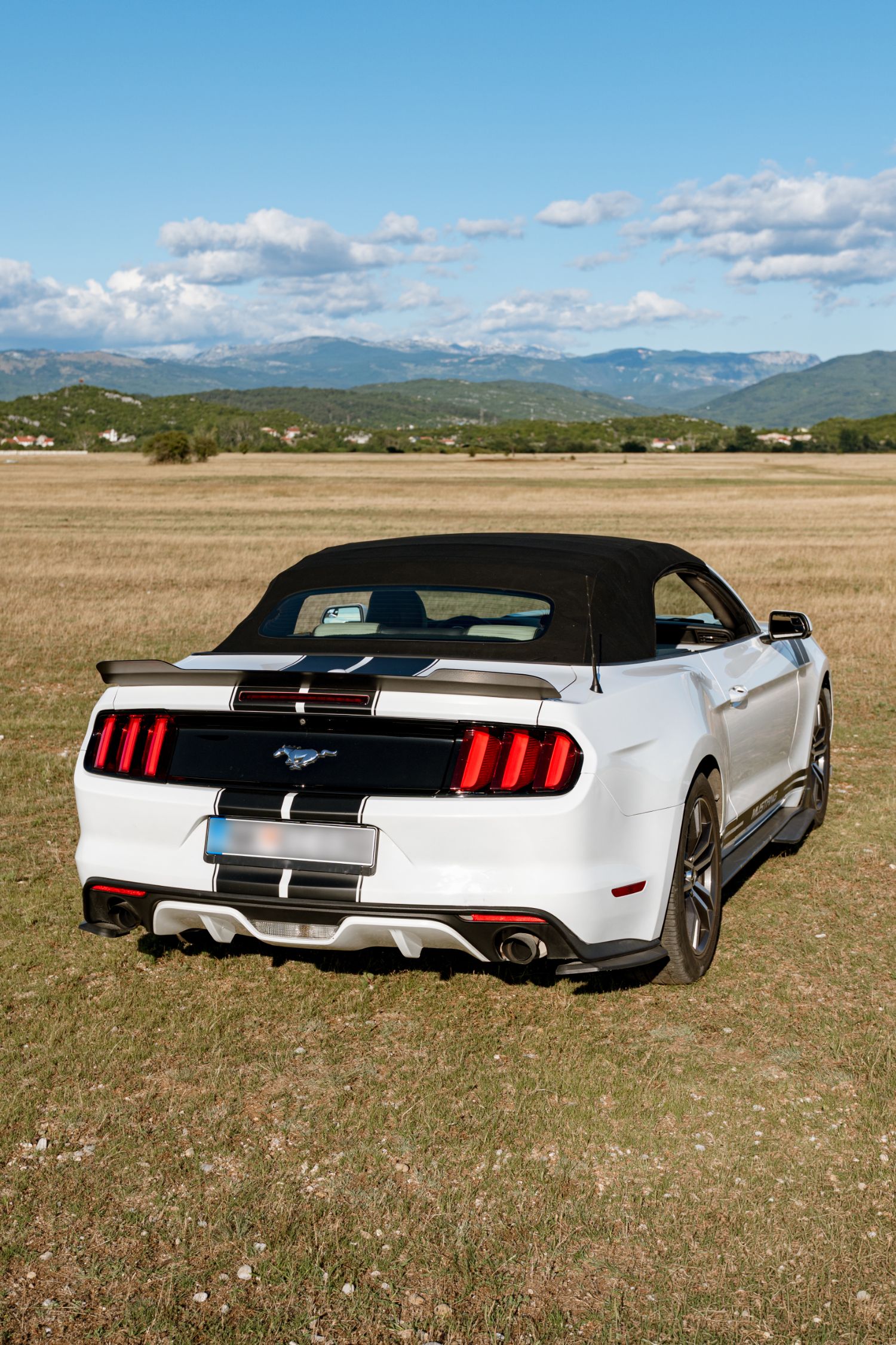 Mustang detalj