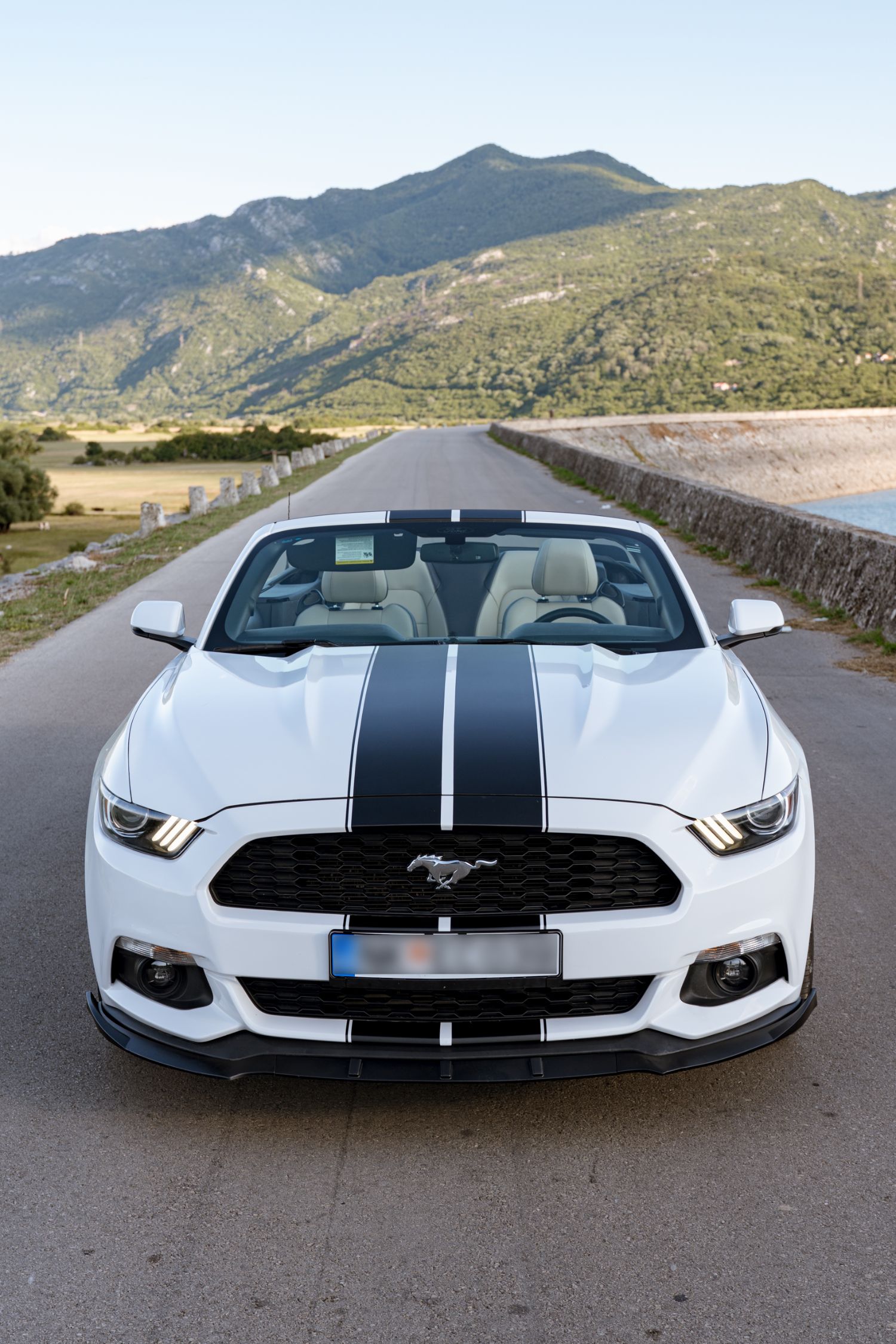 Mustang detalj
