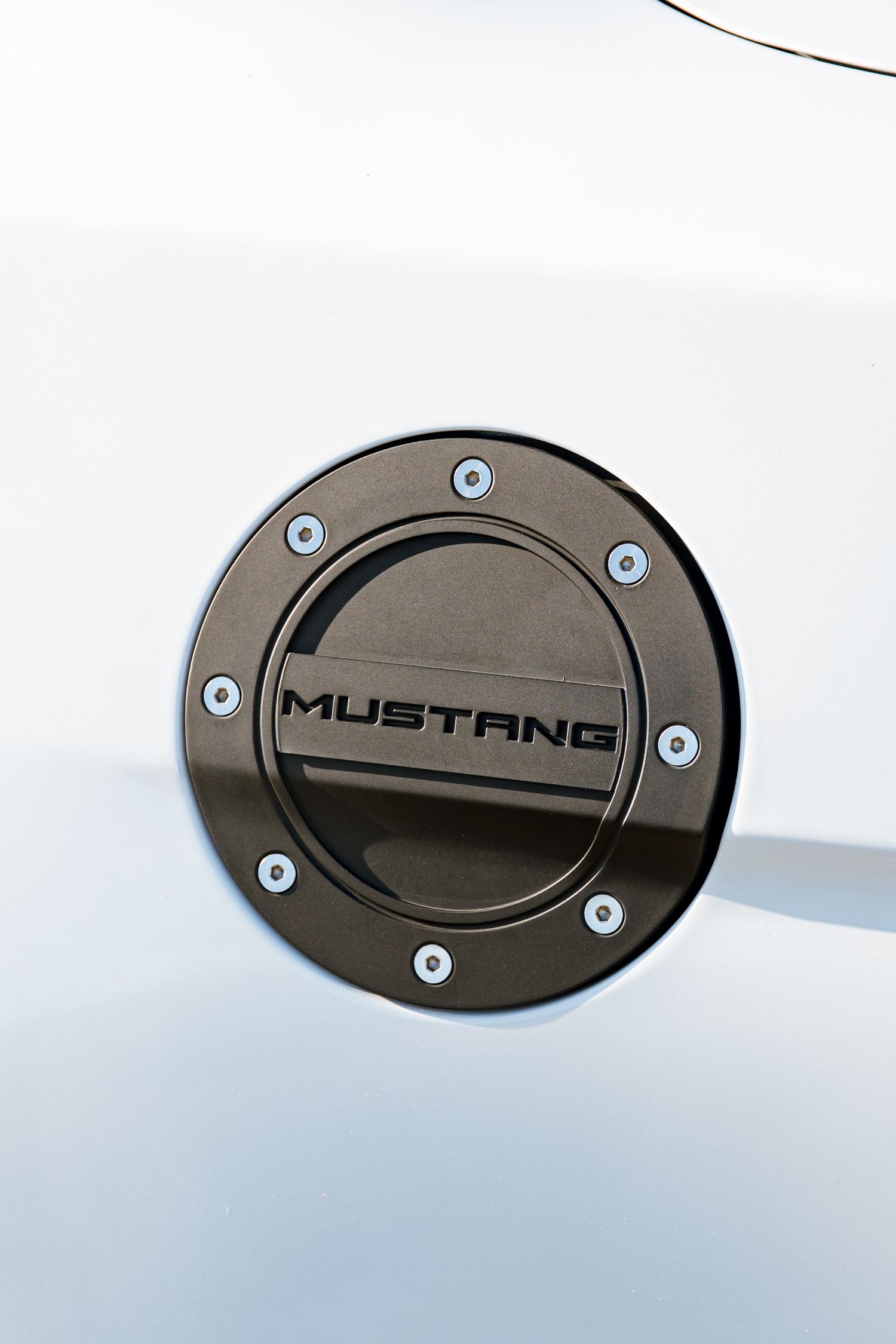 Mustang detalj