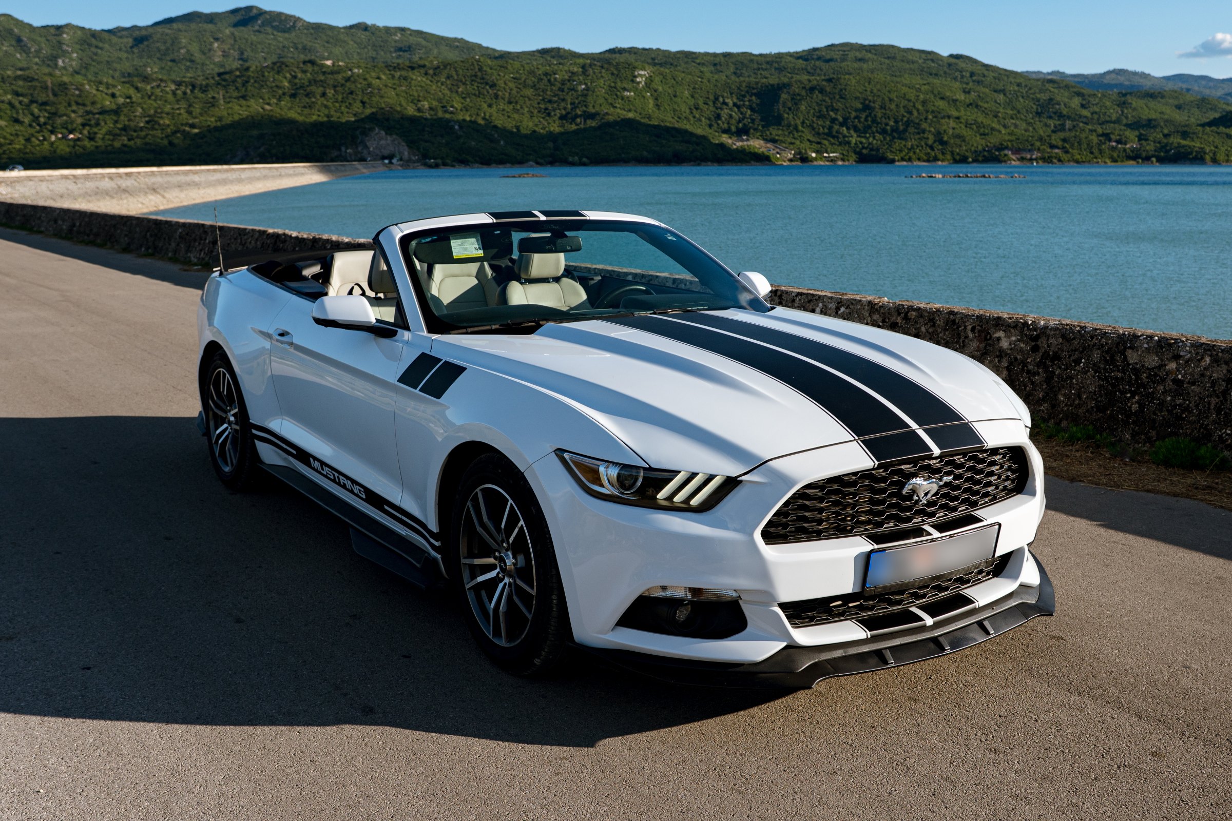 Mustang pored jezera